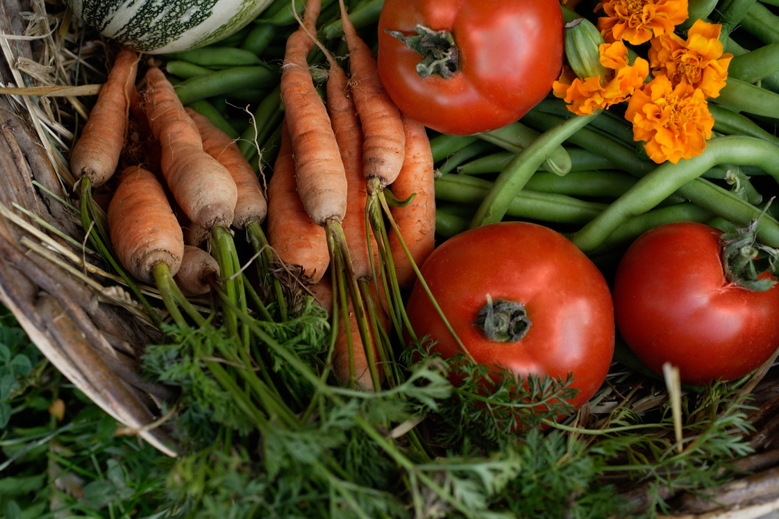 Variety of Vegetables 