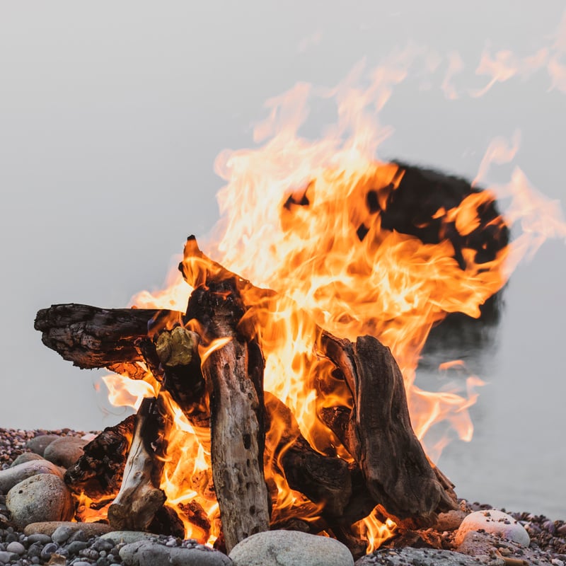 Close Up Photo of Burning Firewood